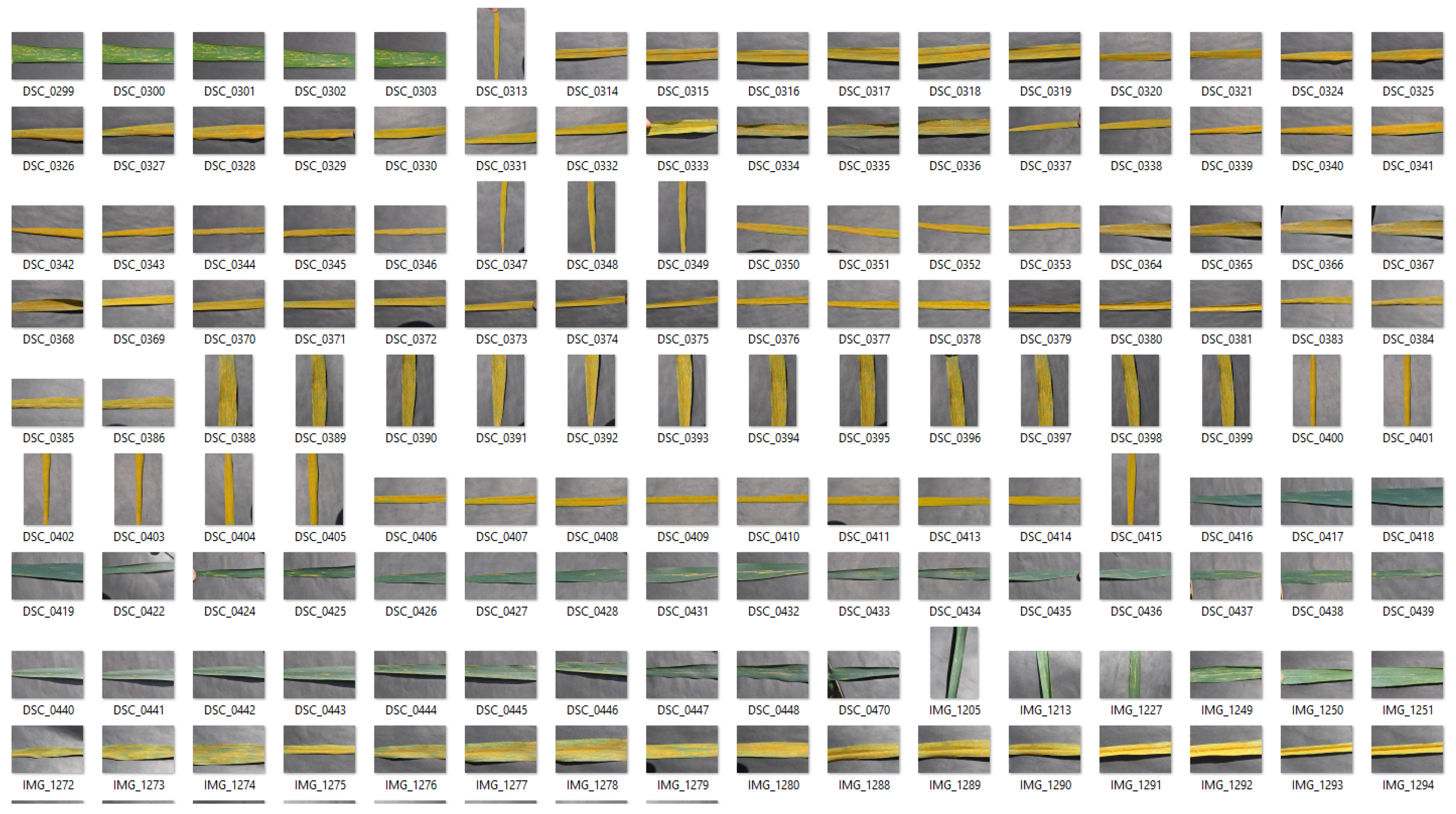 Sensors 22 00146 g004