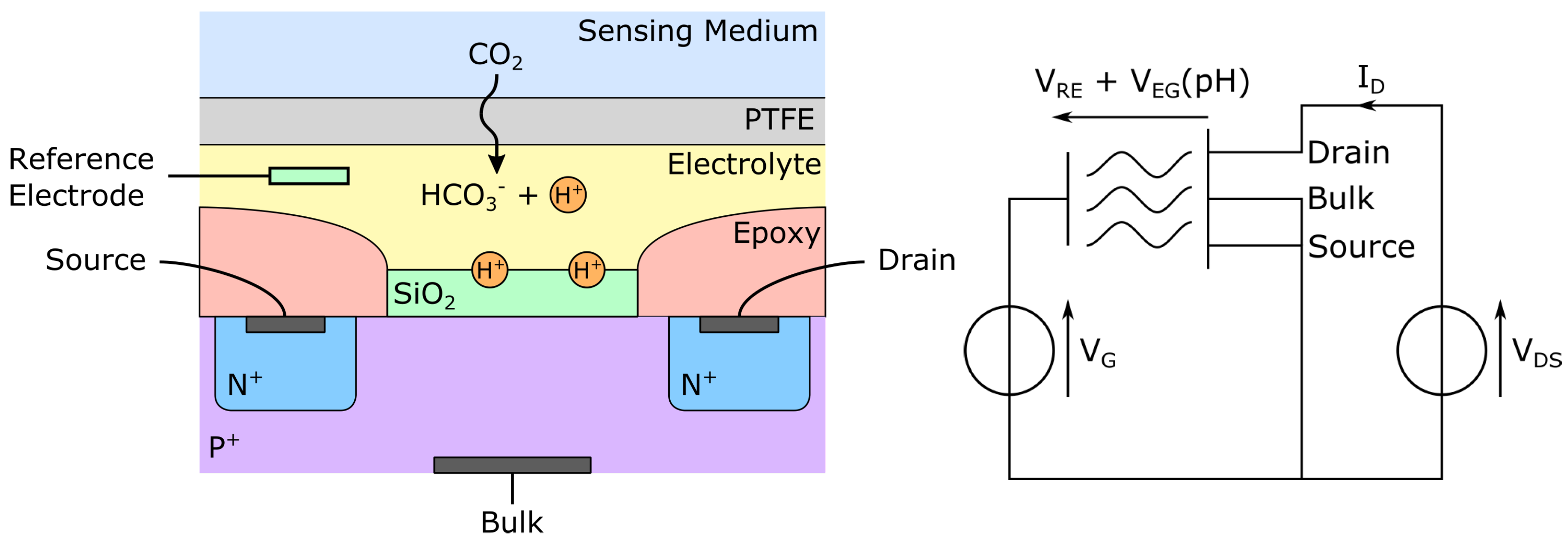 Sensors 22 00188 g006