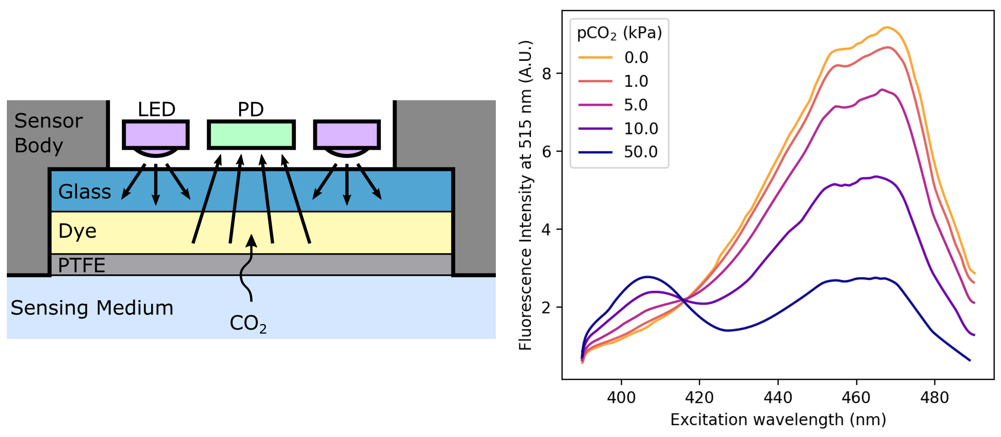 Sensors 22 00188 g007