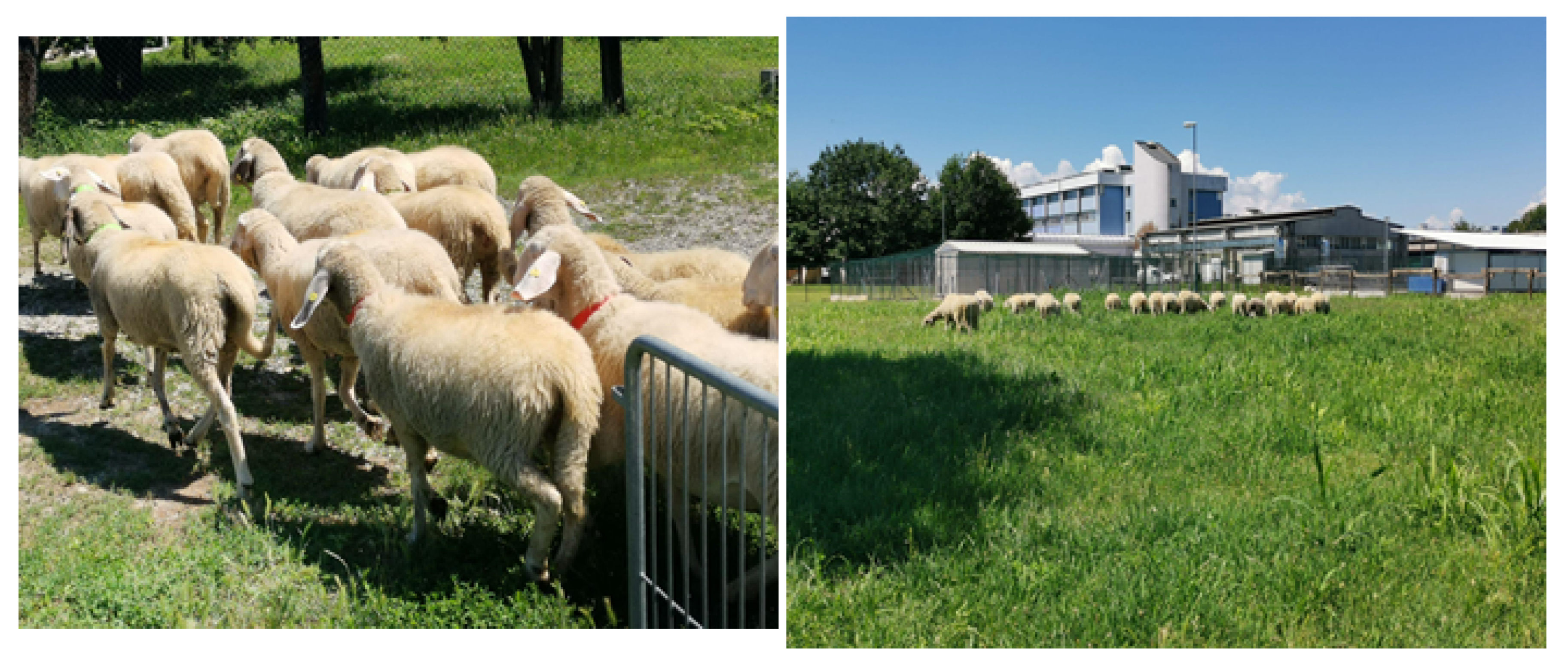 Sensors 22 00273 g007