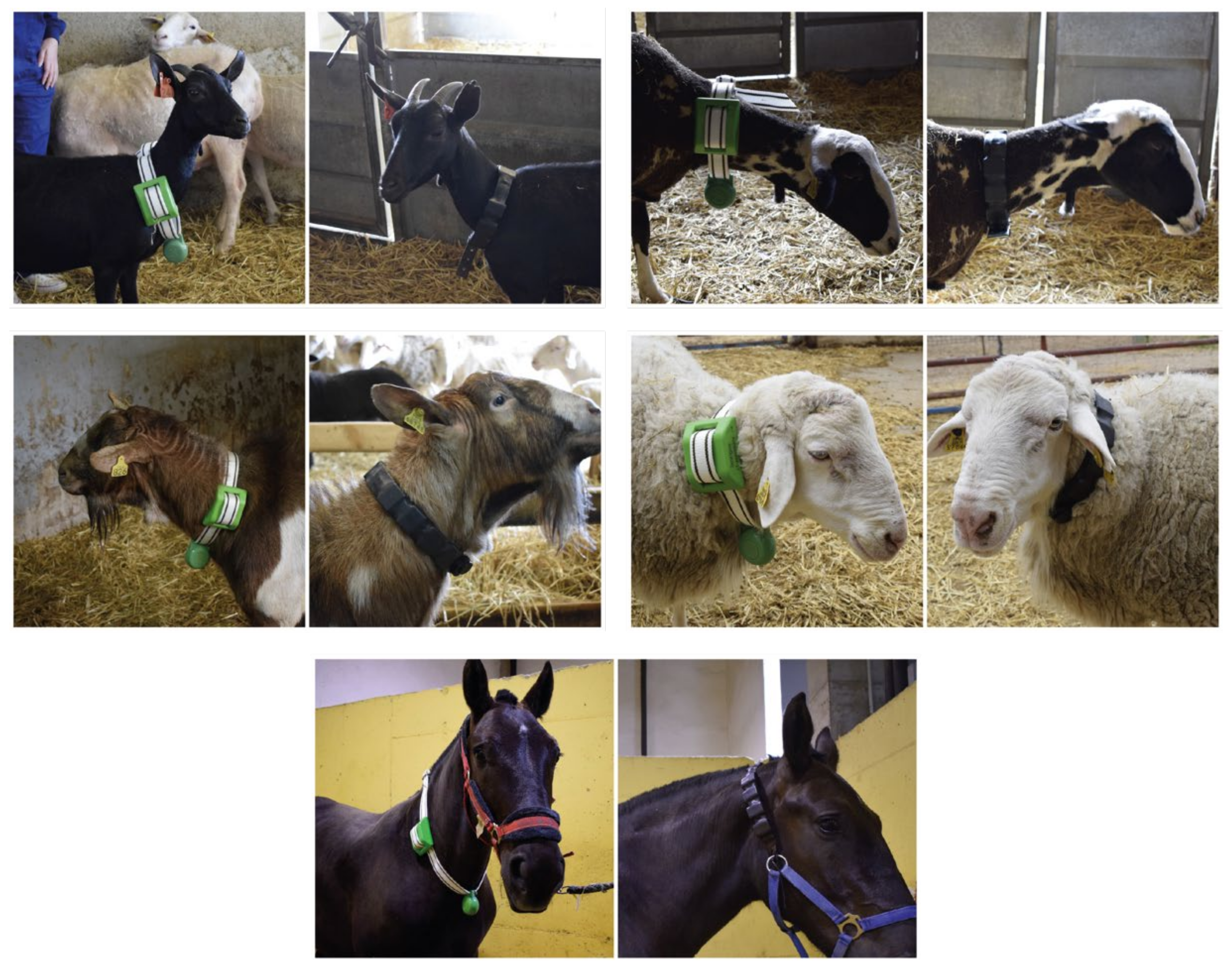 Sensors 22 00300 g011 Sensors 22 00300 g011