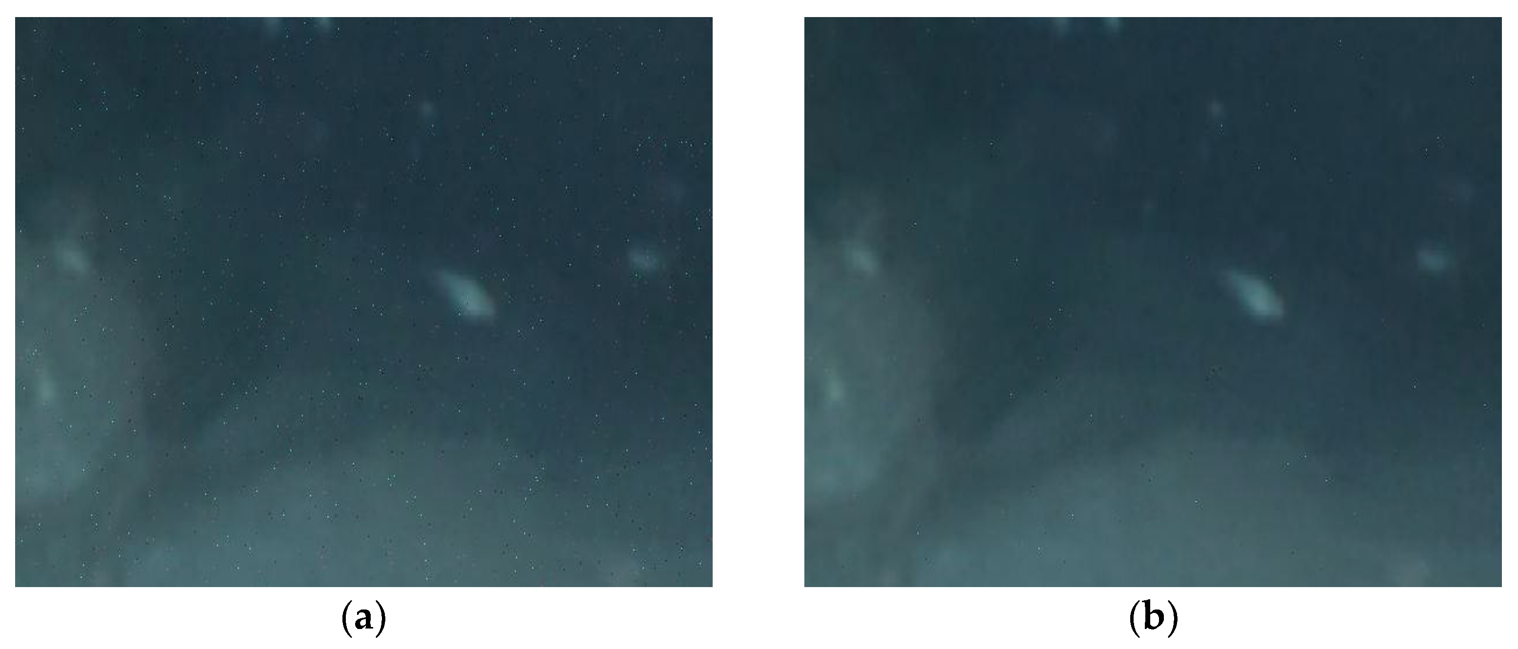 Sensors 22 00313 g005