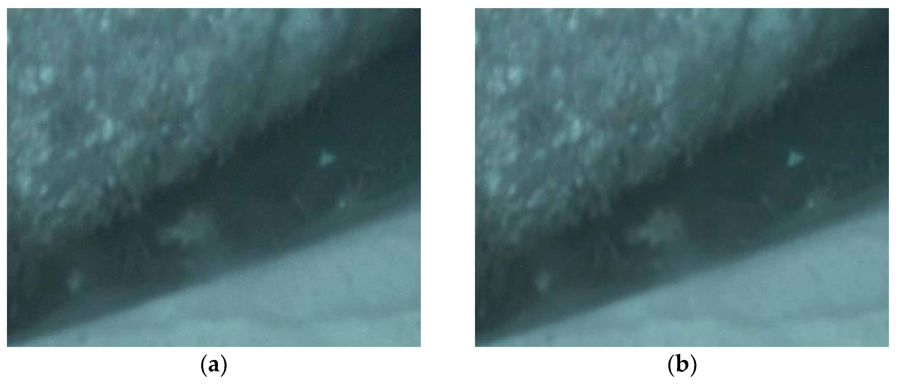 Sensors 22 00313 g007