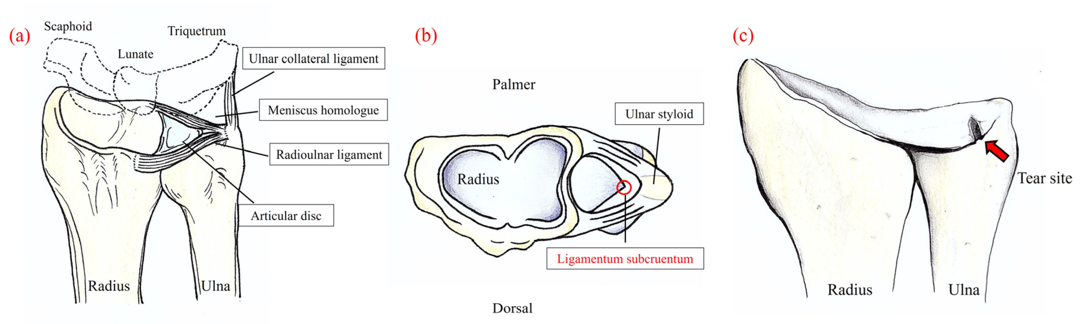 Sensors 22 00345 g001