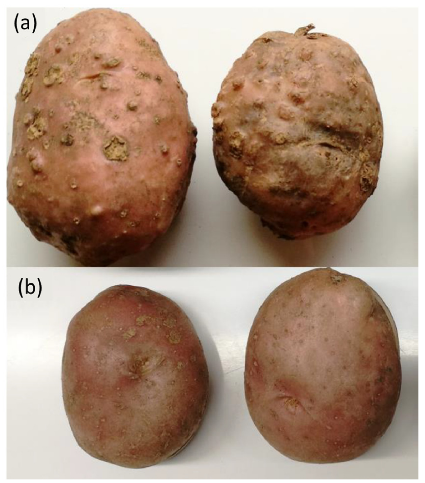 Sensors 22 00367 g001