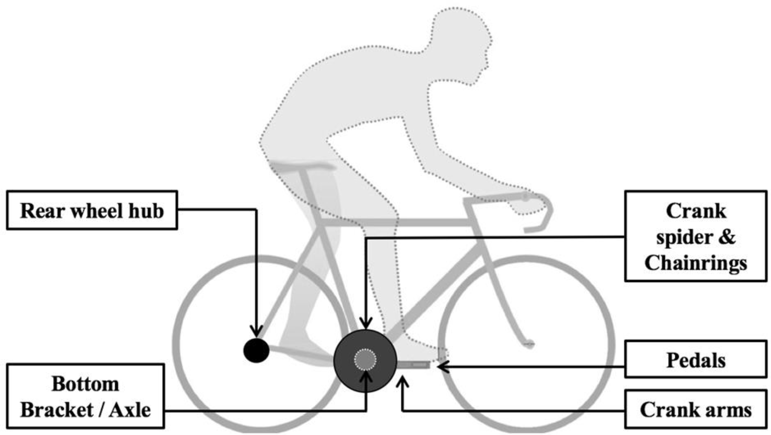 Measuring Cyclemeter Caveats and Recommendations to Assess the Validity and Reliability of ...