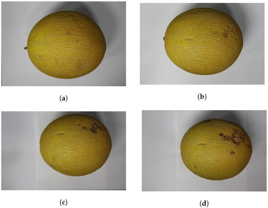 Sensors 22 00414 g0a1 550