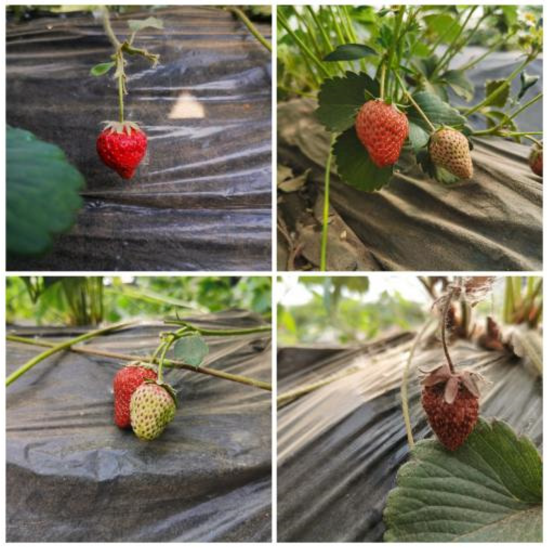 Sensors 22 00419 g002