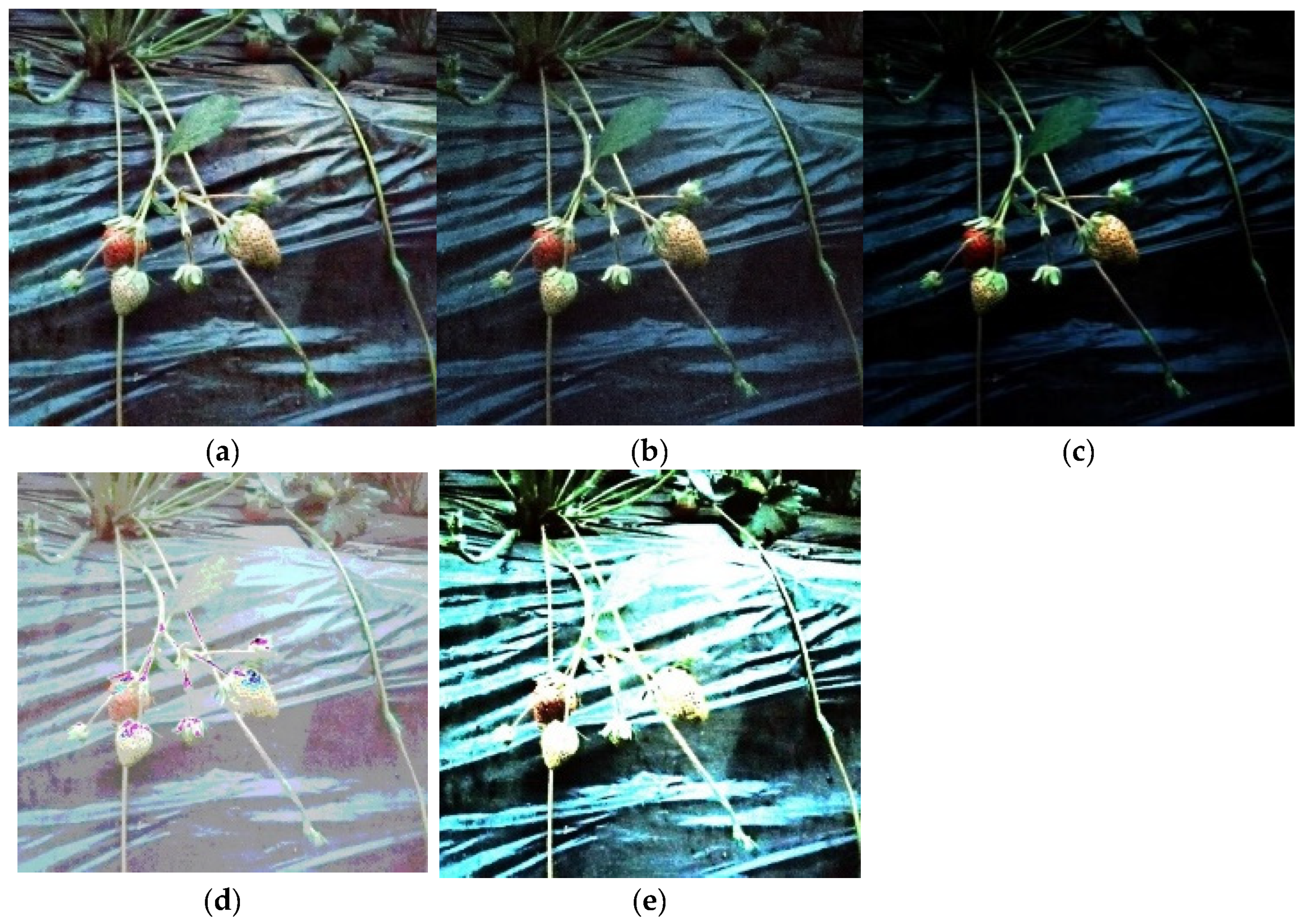 Sensors 22 00419 g004