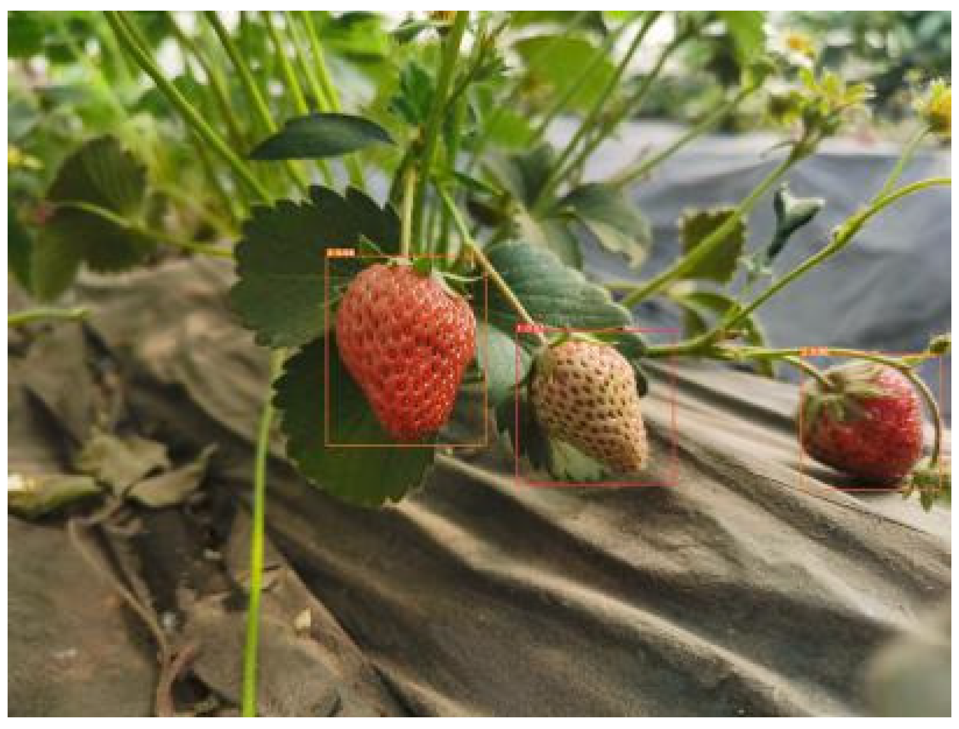 Sensors 22 00419 g005