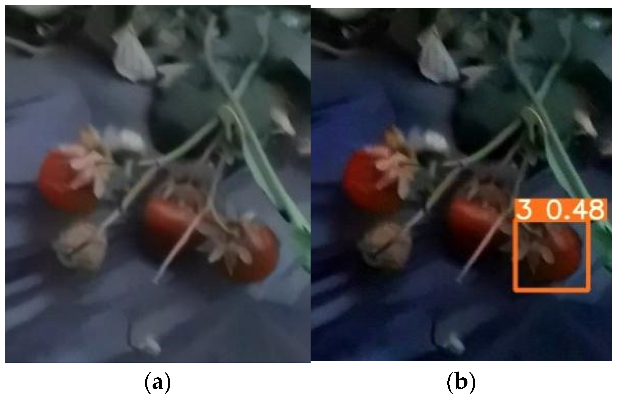 Sensors 22 00419 g007