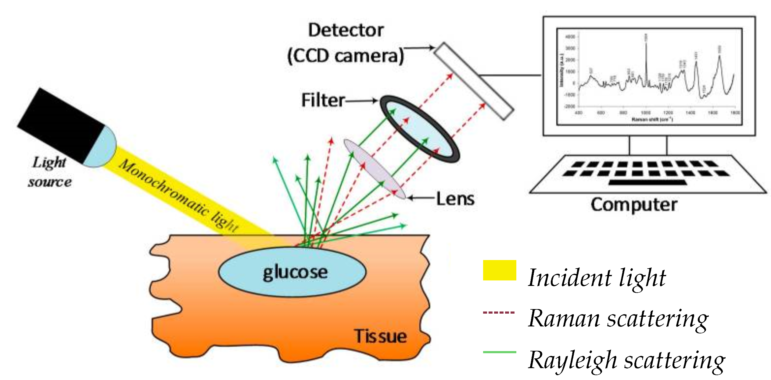 Sensors 22 00425 g005