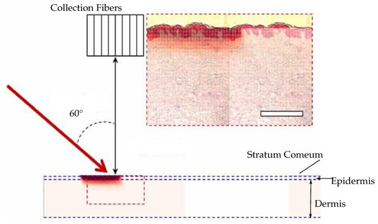 Sensors 22 00425 g007 550