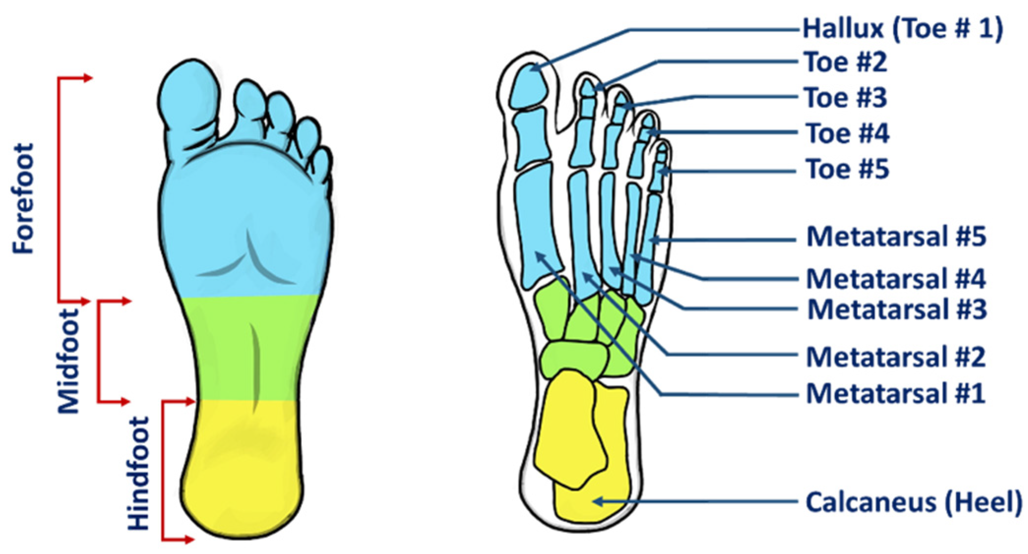 Sensors 22 00438 g002 Sensors 22 00438 g002