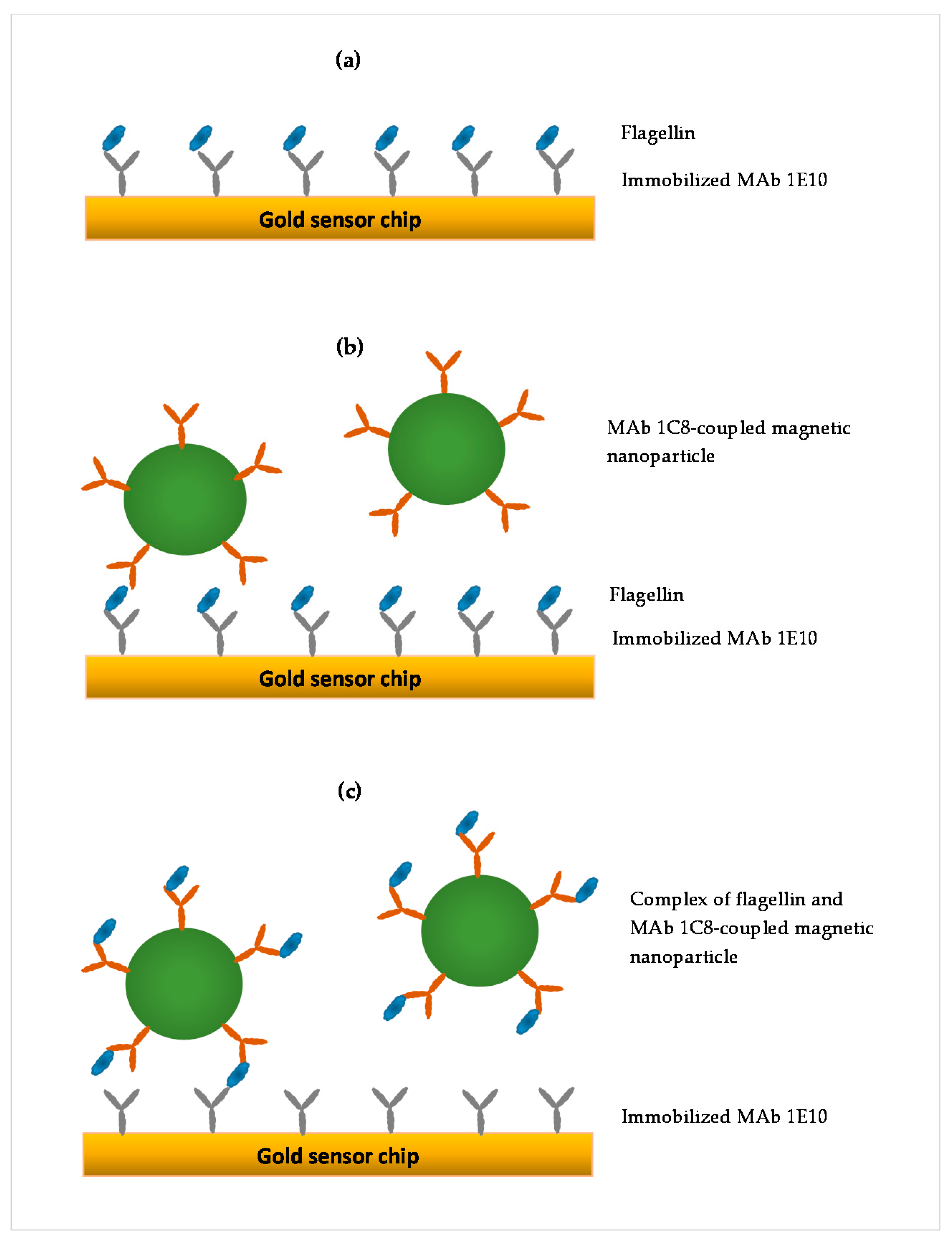 Sensors 22 00475 g001