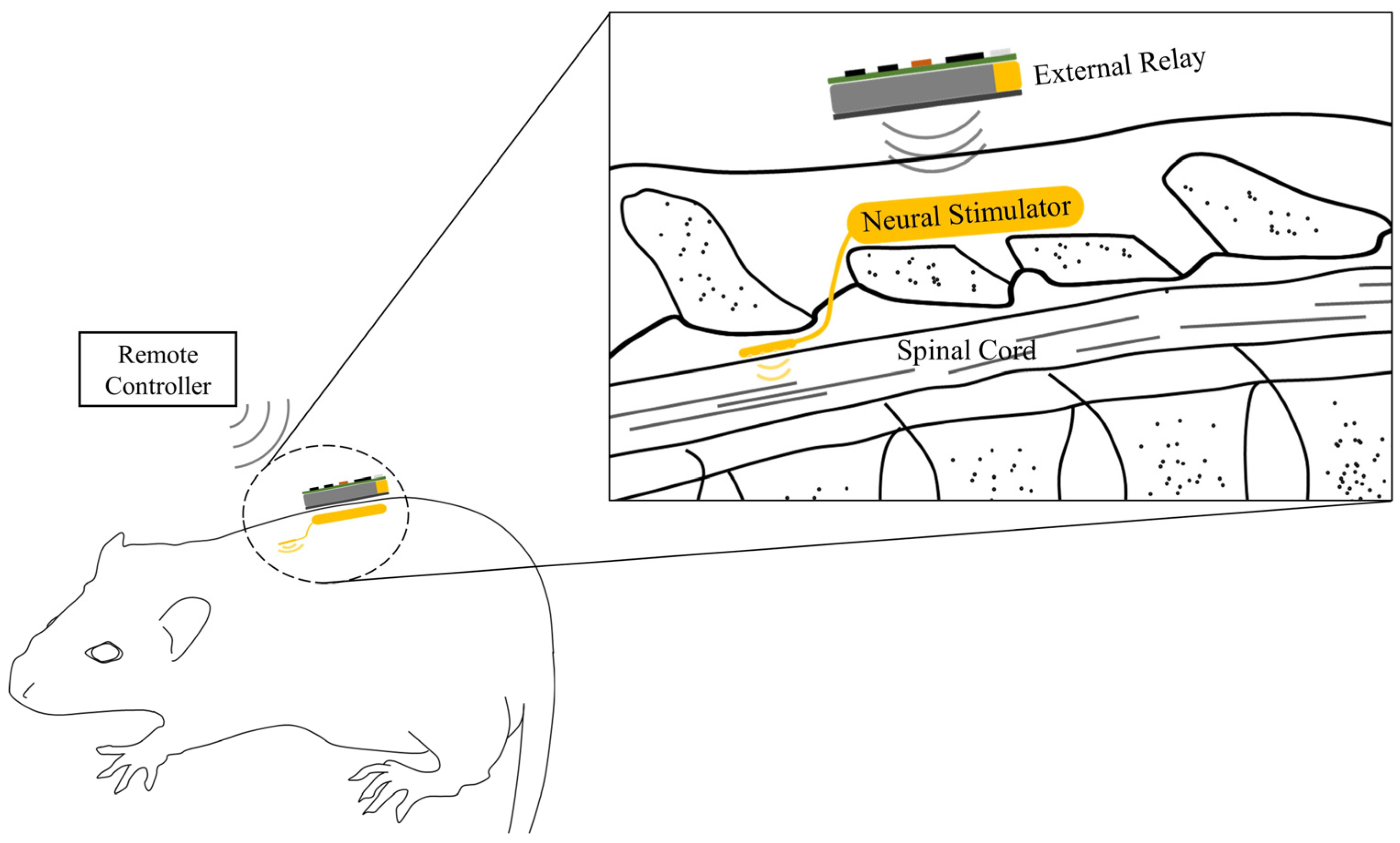 Sensors 22 00501 g001