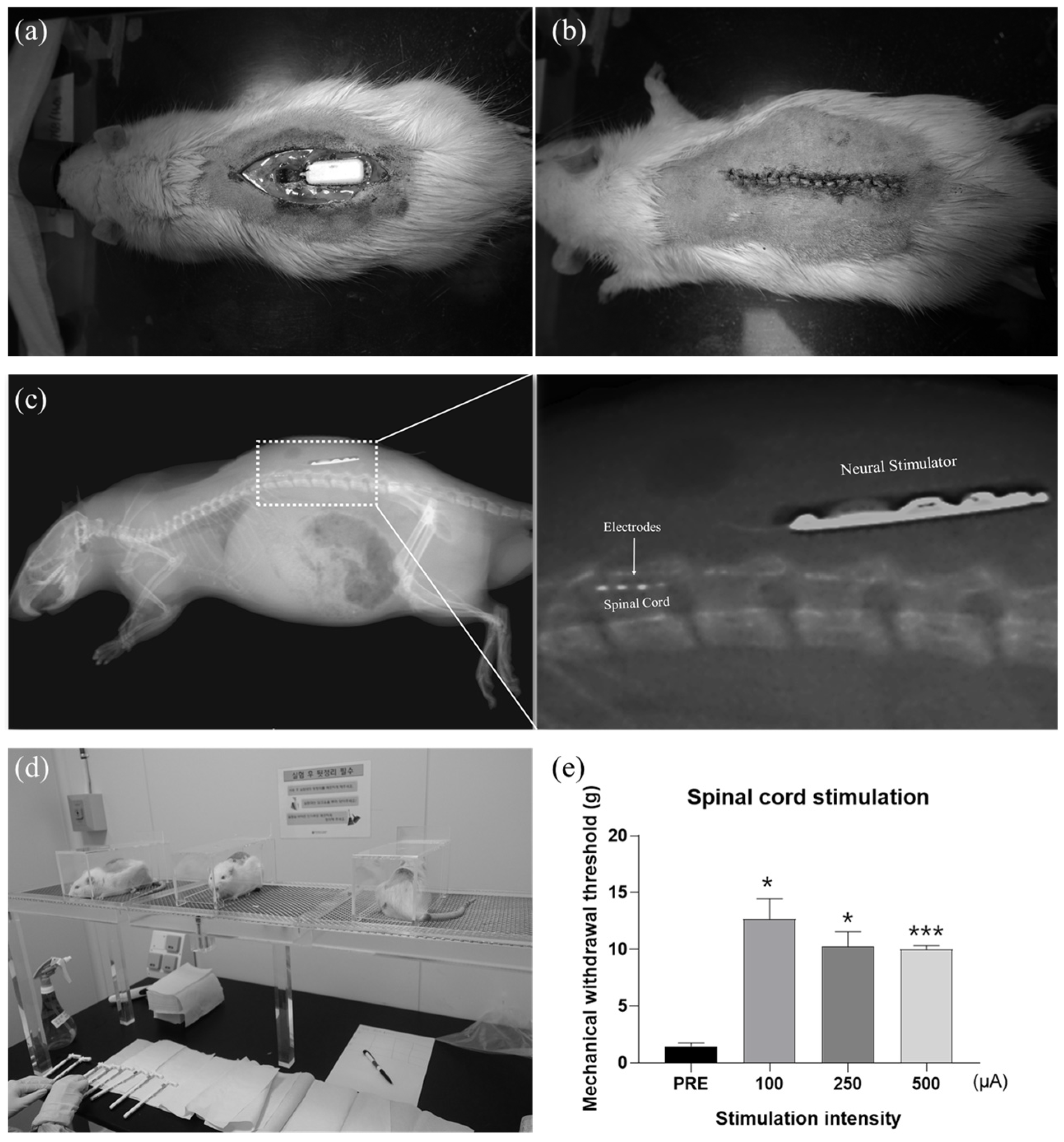 Sensors 22 00501 g006