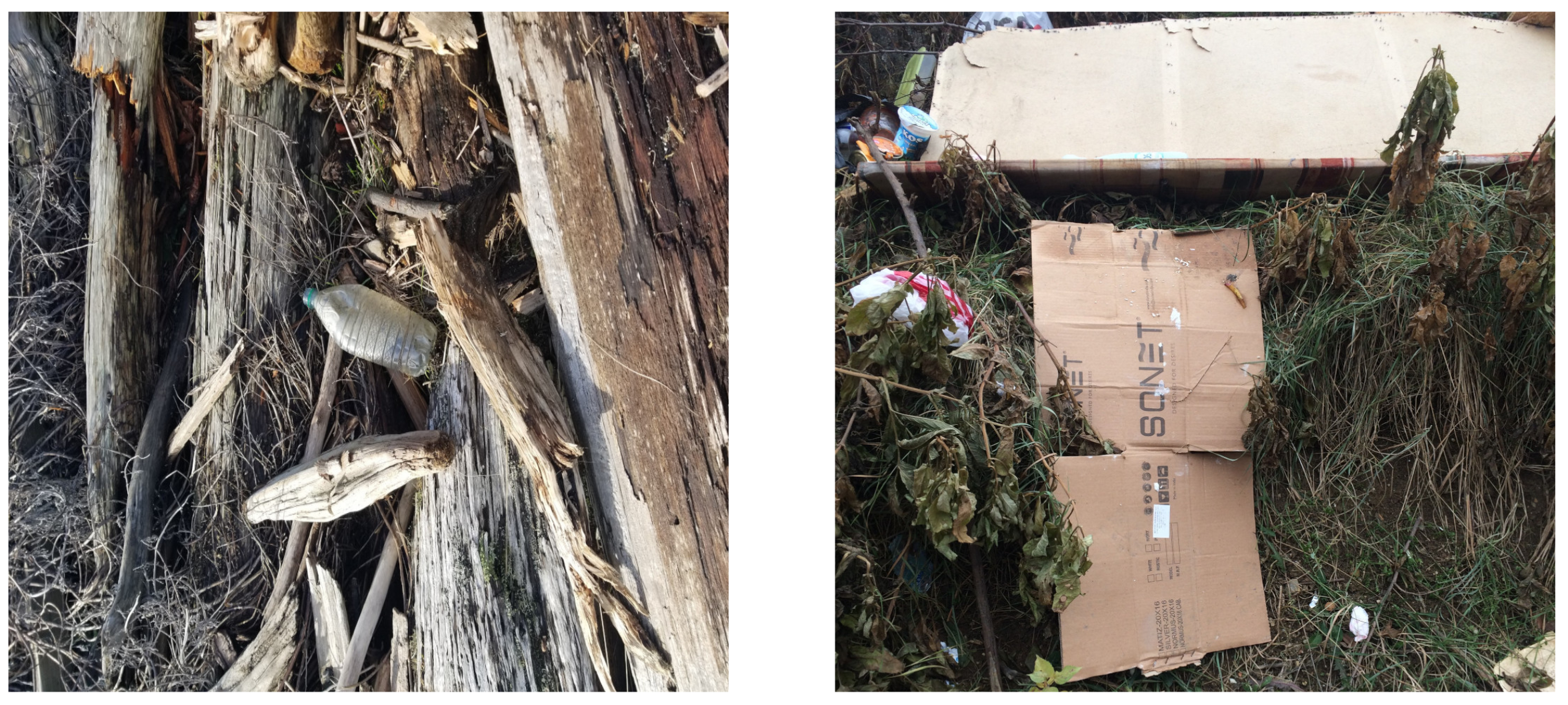 Sensors 22 00548 g001