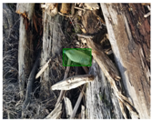 Sensors 22 00548 i017