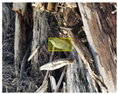 Sensors 22 00548 i018