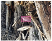 Sensors 22 00548 i020