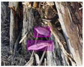 Sensors 22 00548 i023