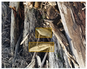 Sensors 22 00548 i024