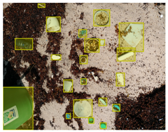 Sensors 22 00548 i026