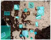 Sensors 22 00548 i029