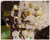 Sensors 22 00548 i032