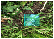 Sensors 22 00548 i061