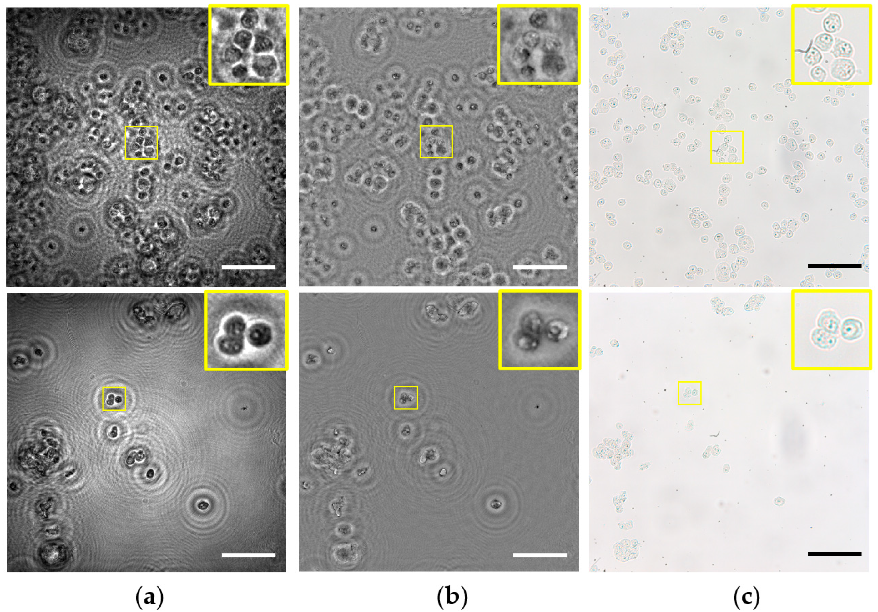 Sensors 22 00553 g009