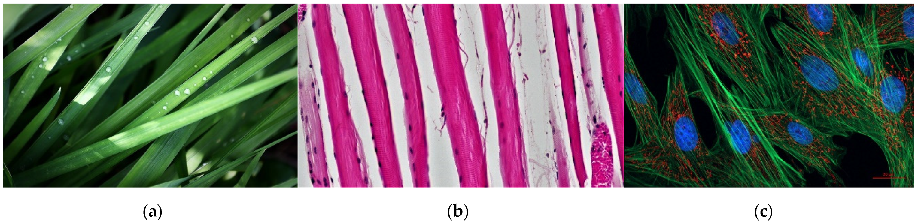 Sensors 22 00562 g001