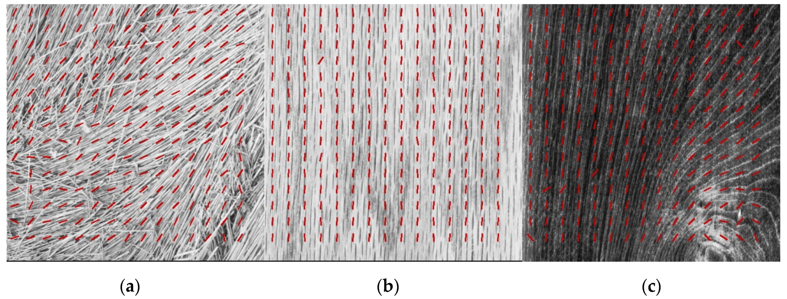 Sensors 22 00562 g009a