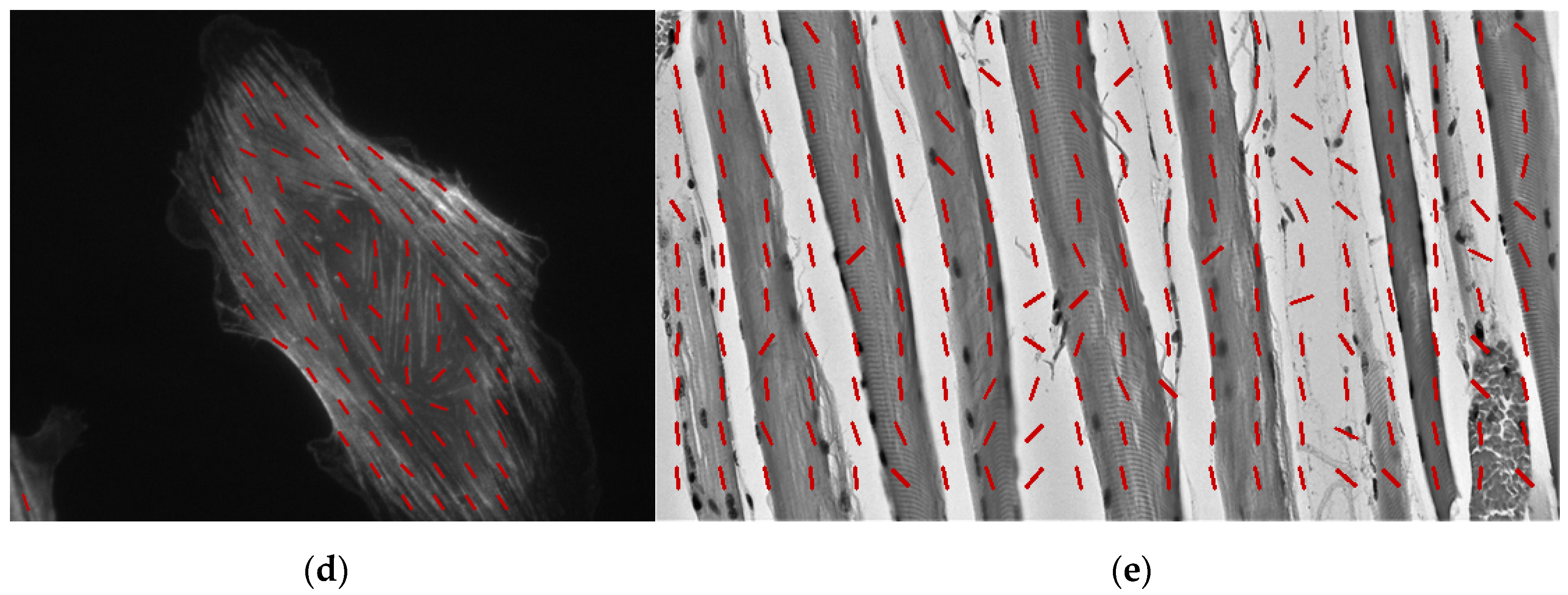 Sensors 22 00562 g009b
