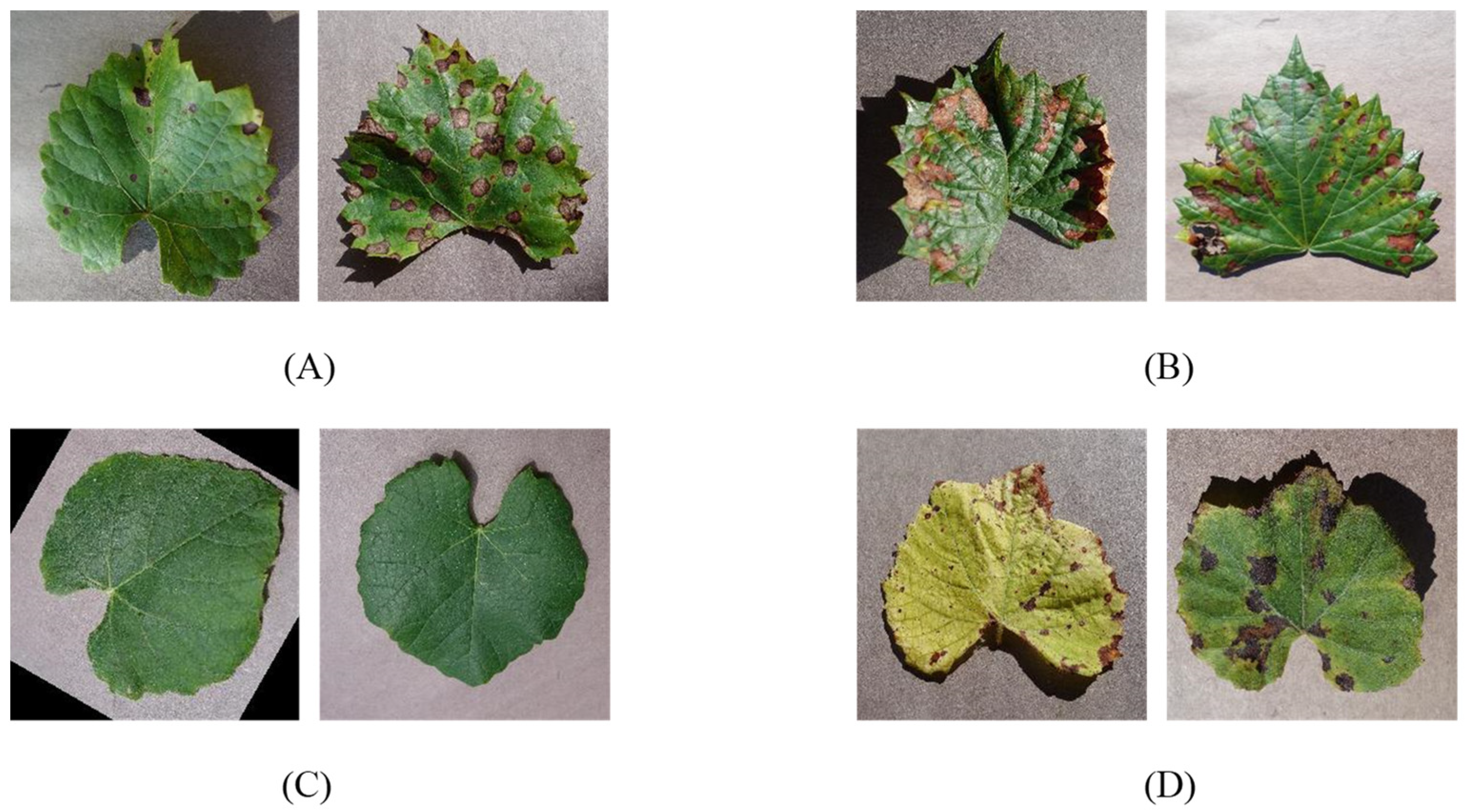 Sensors 22 00575 g002