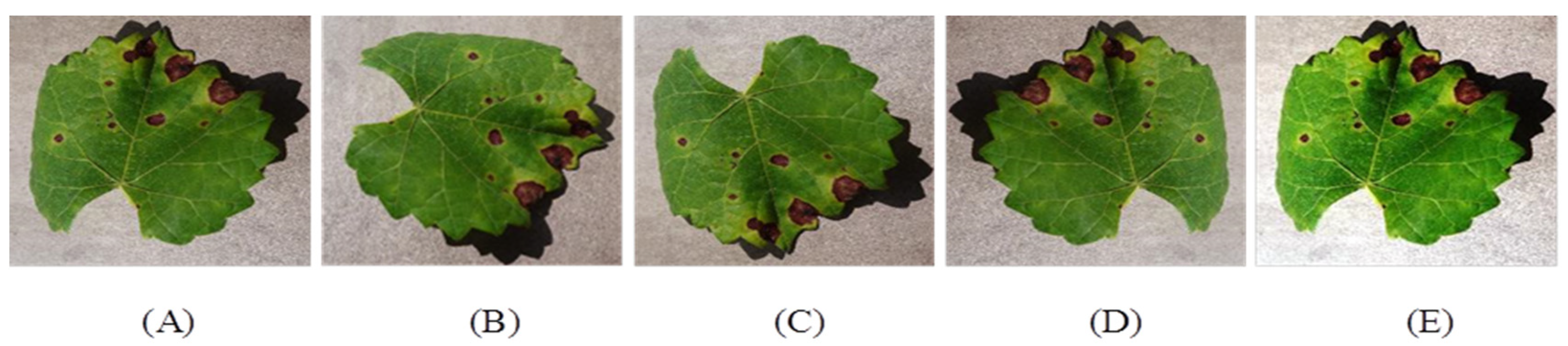 Sensors 22 00575 g004