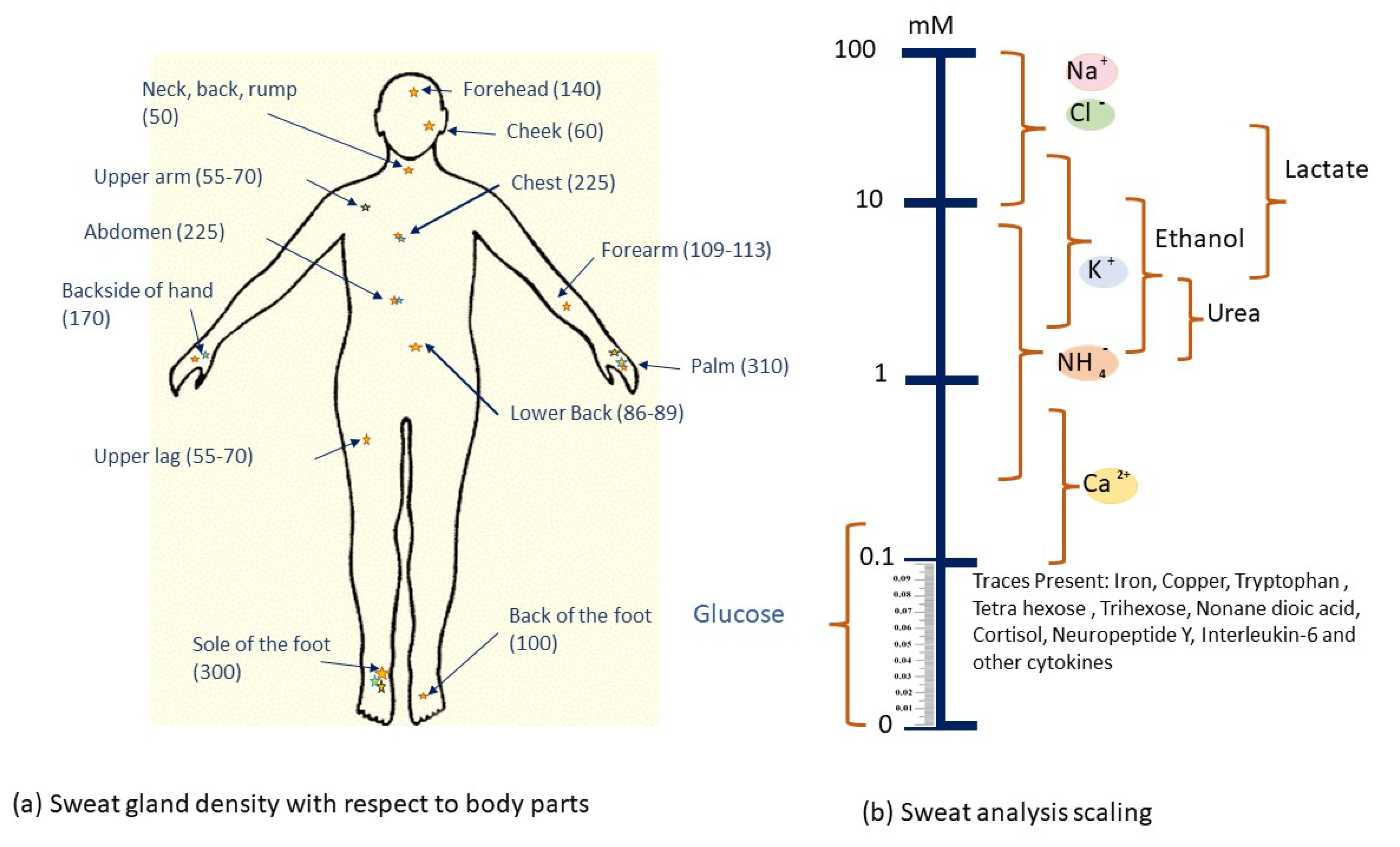 Sensors 22 00638 g005