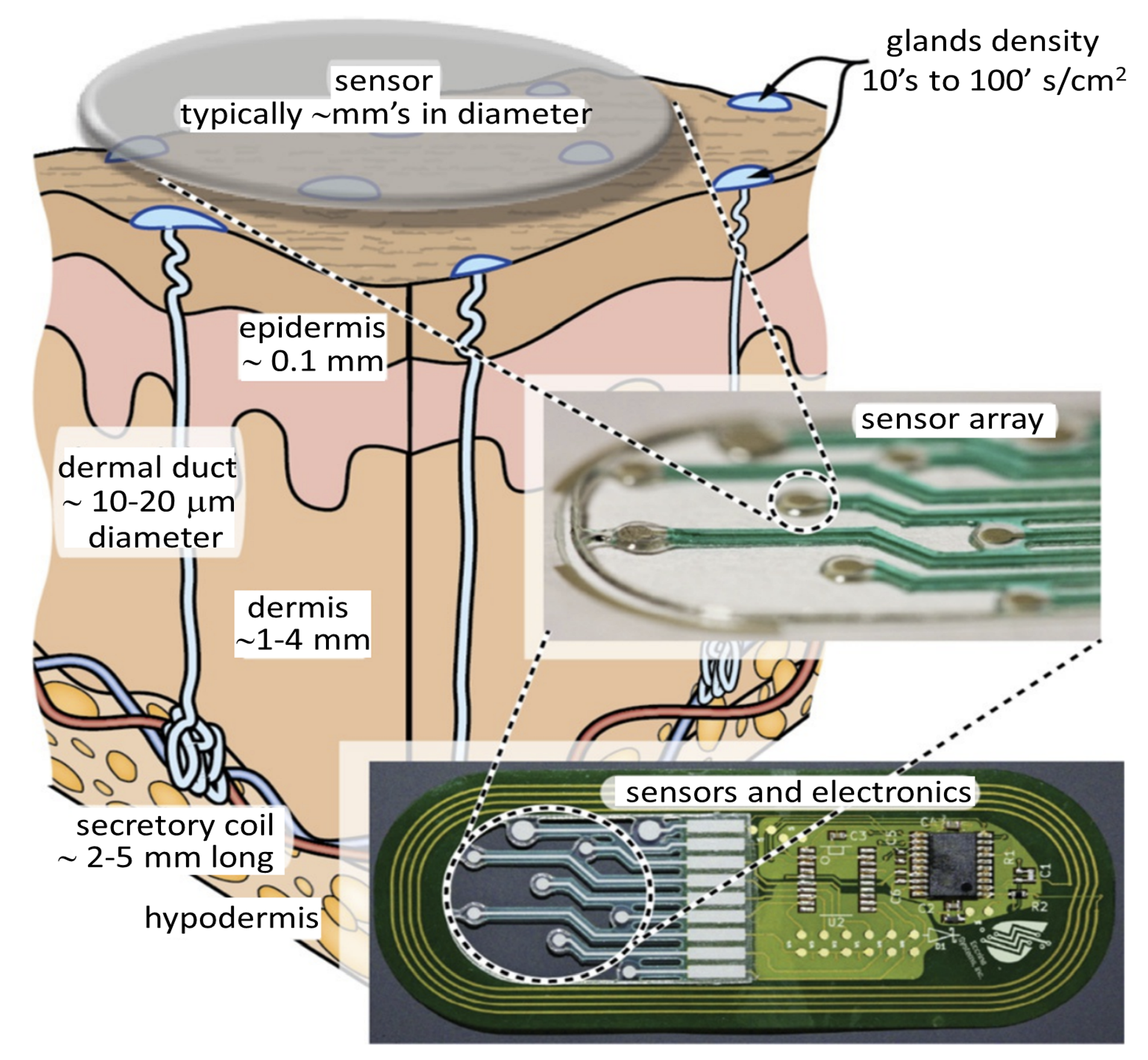 Sensors 22 00638 g006