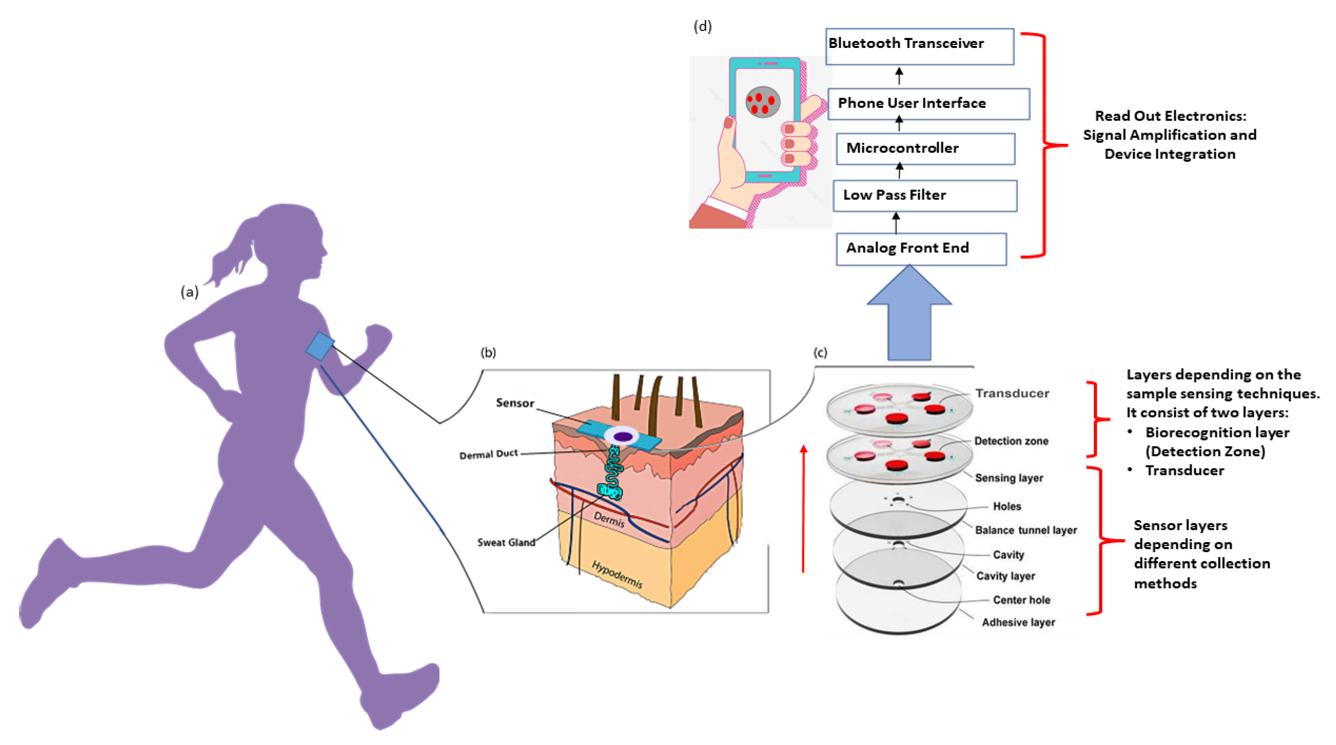 Sensors 22 00638 g007