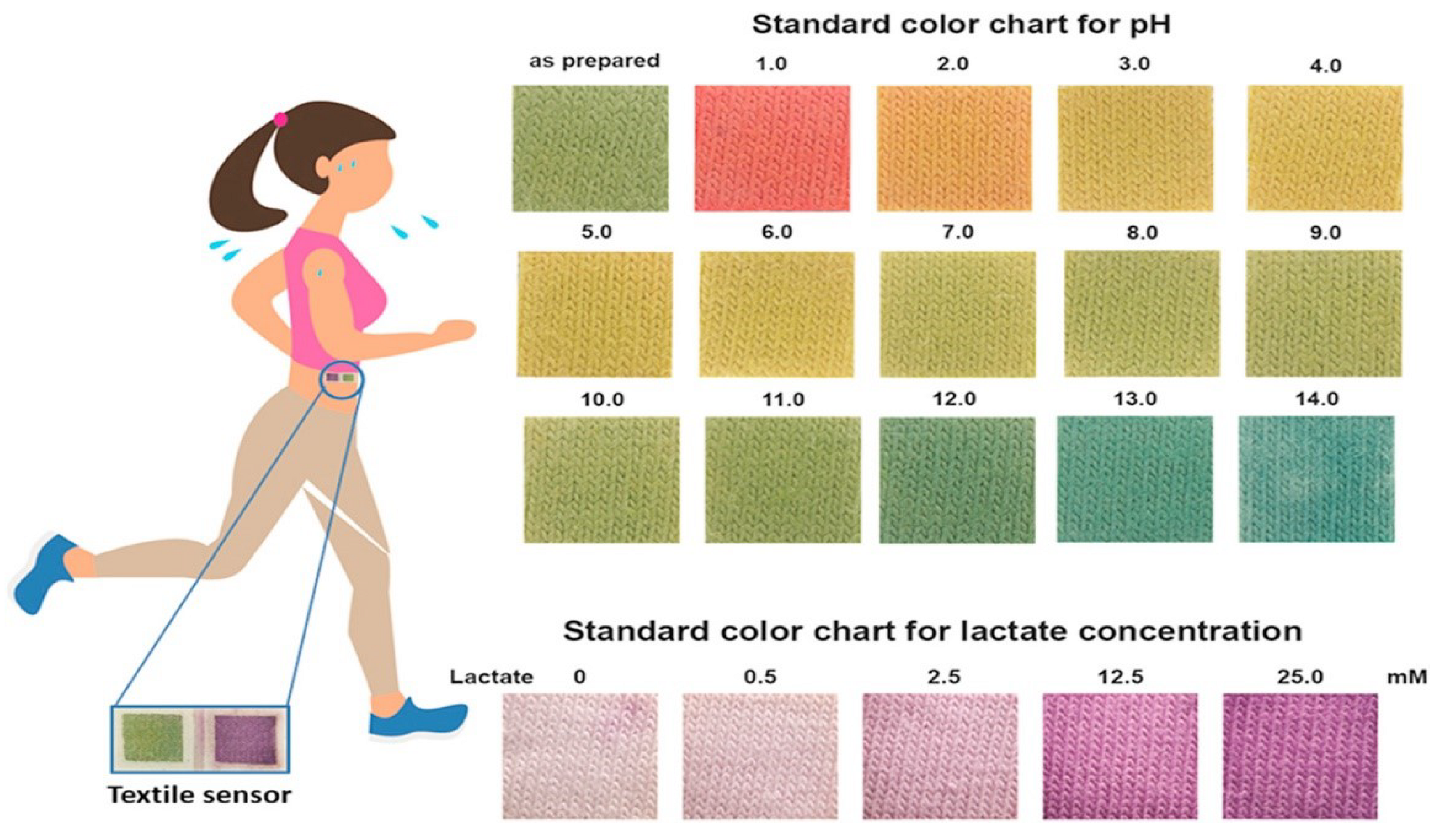 Sensors 22 00638 g011