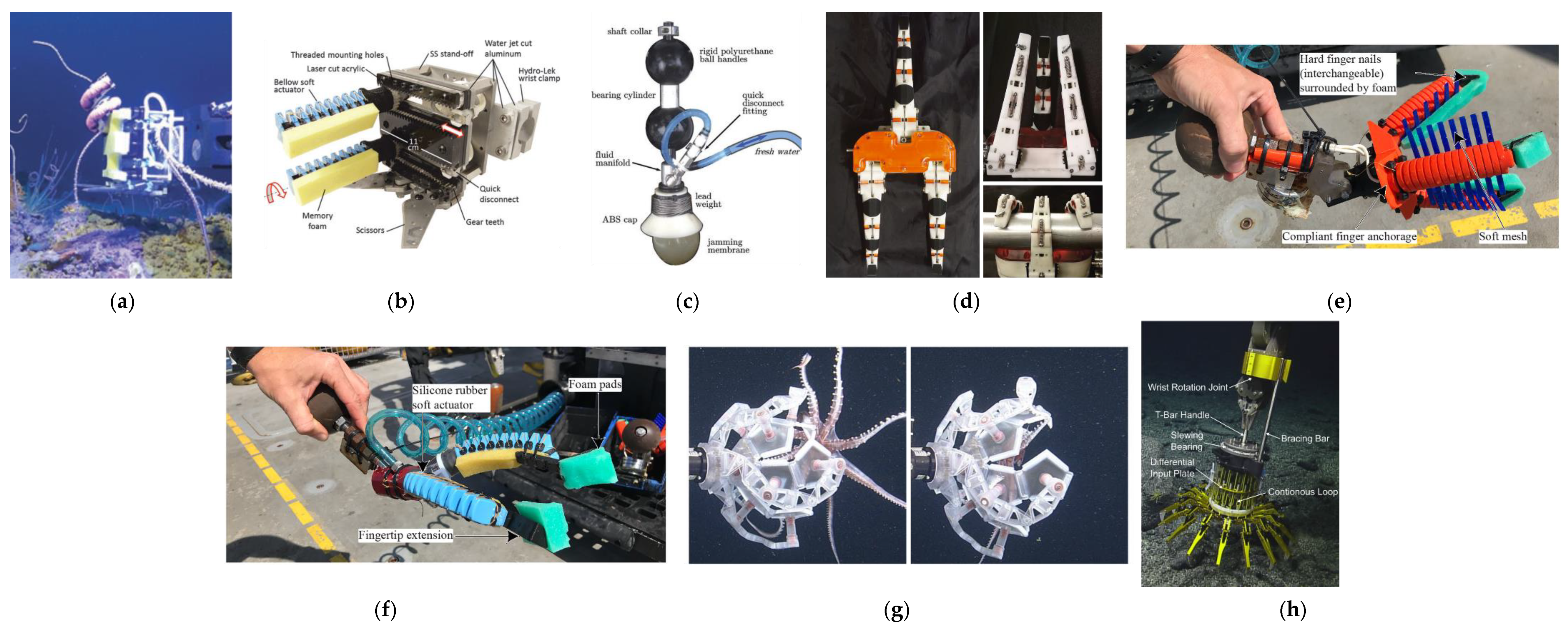 Sensors 22 00648 g008