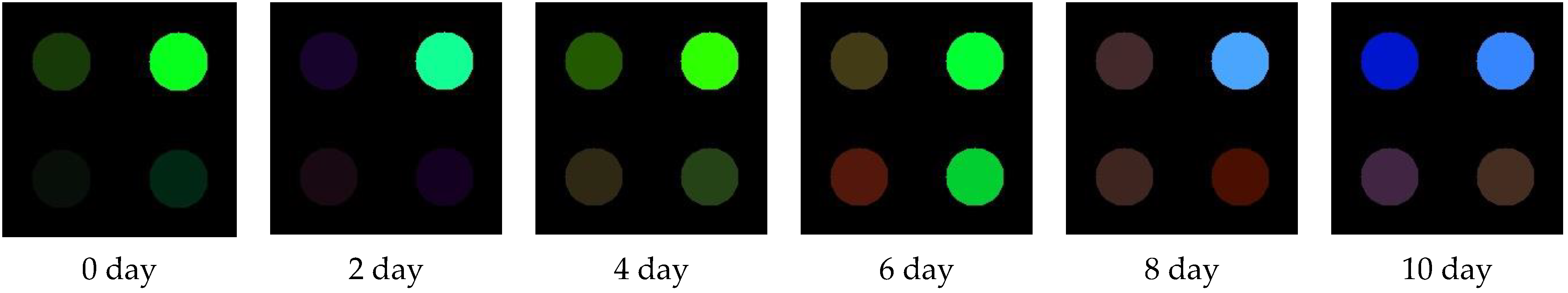 Sensors 22 00683 g003 Sensors 22 00683 g003