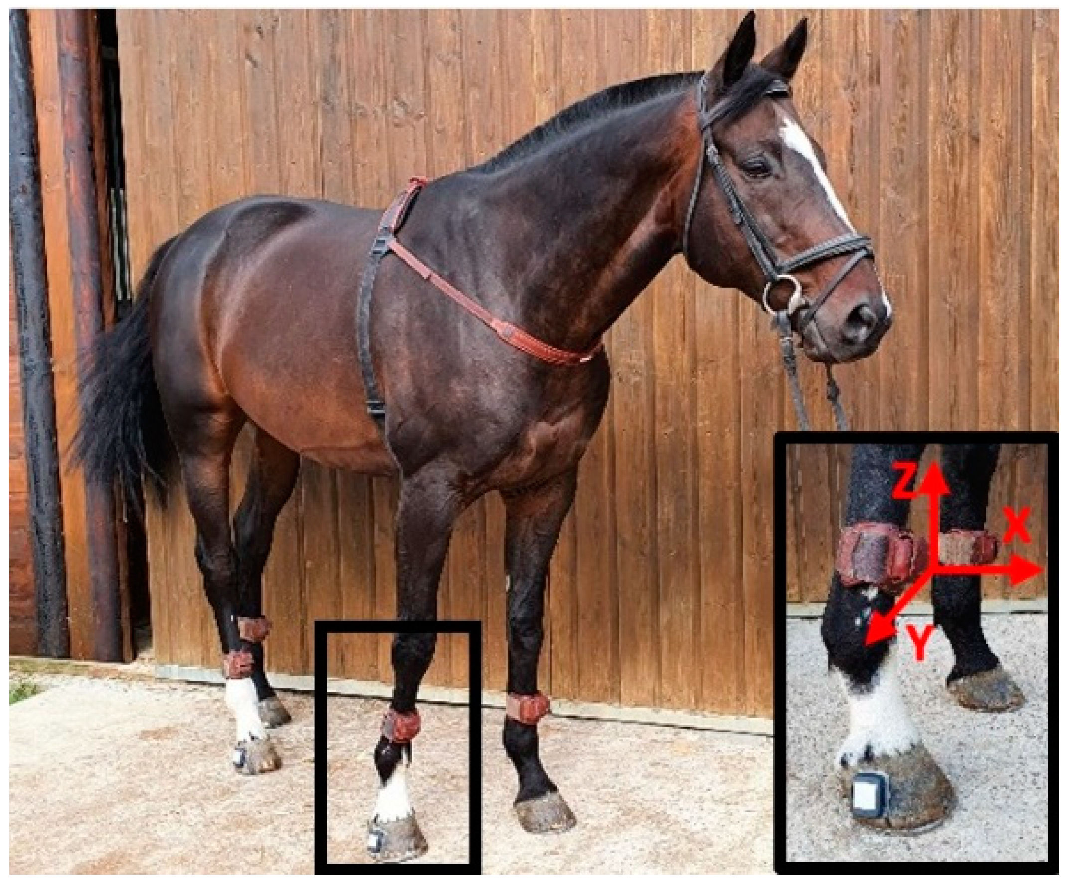 Sensors 22 00703 g001 Sensors 22 00703 g001