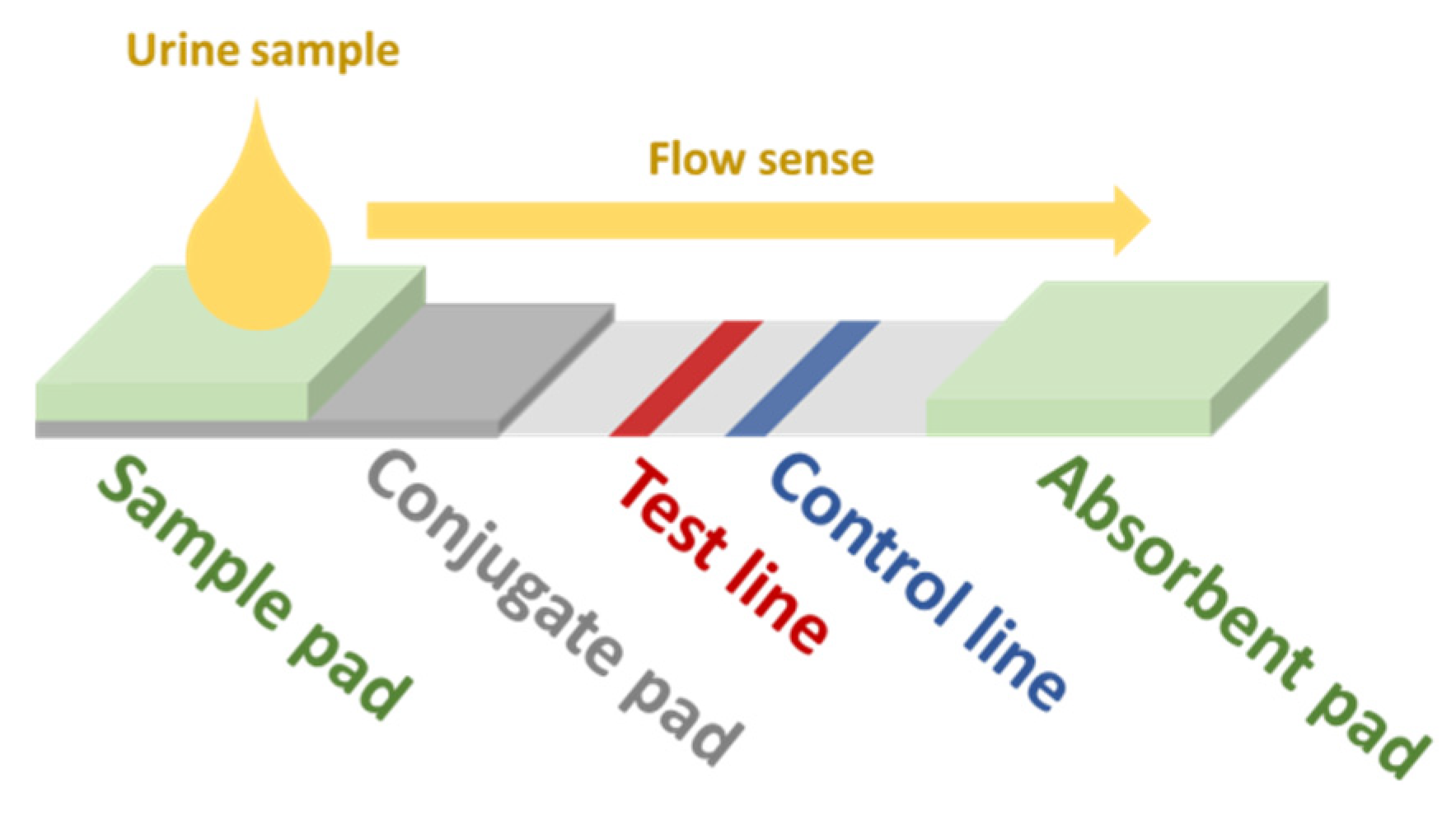 Sensors 22 00718 g002