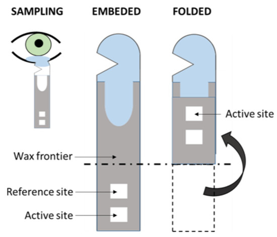 Sensors 22 00718 g005 550
