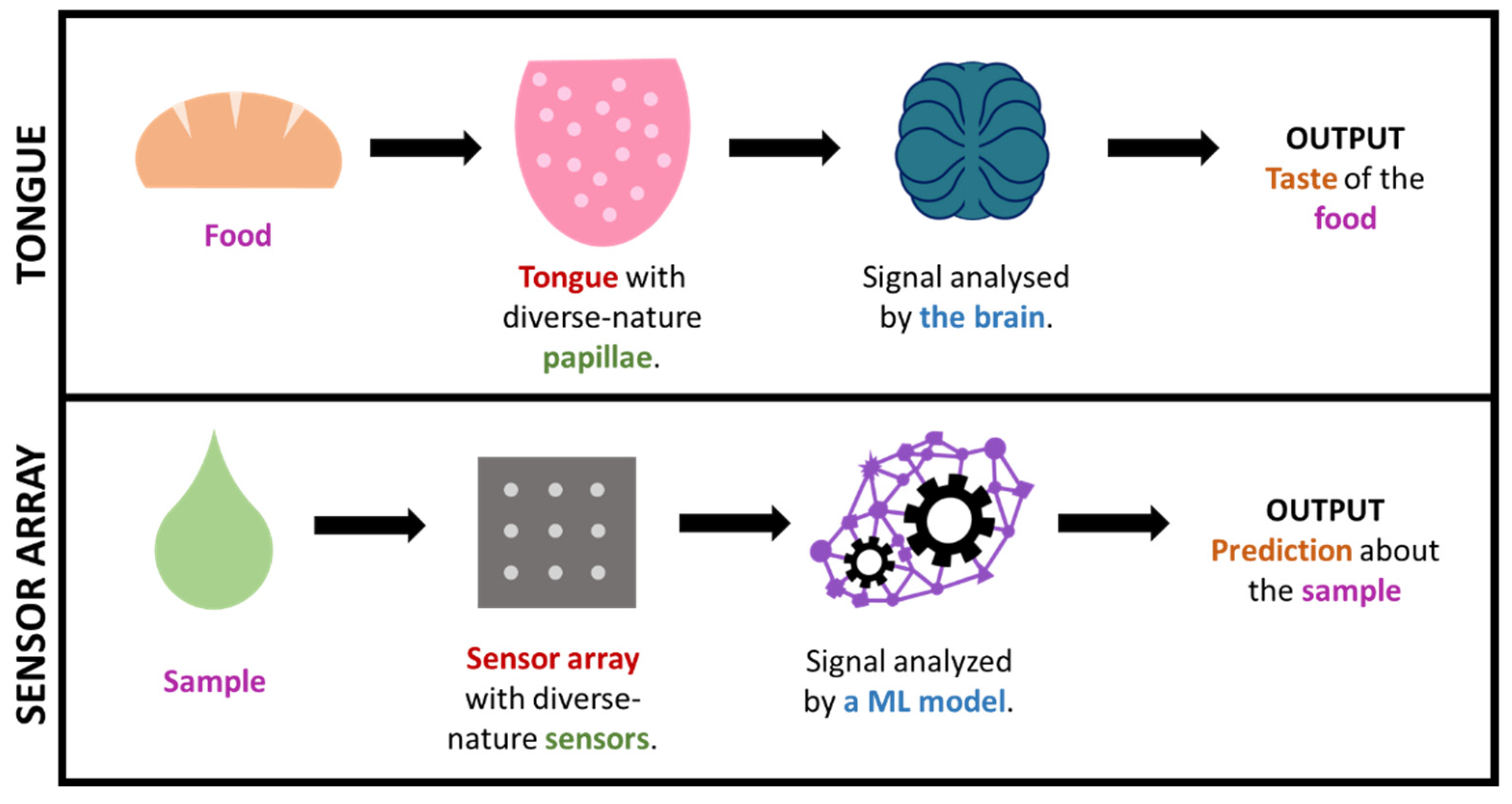 Sensors 22 00718 g007
