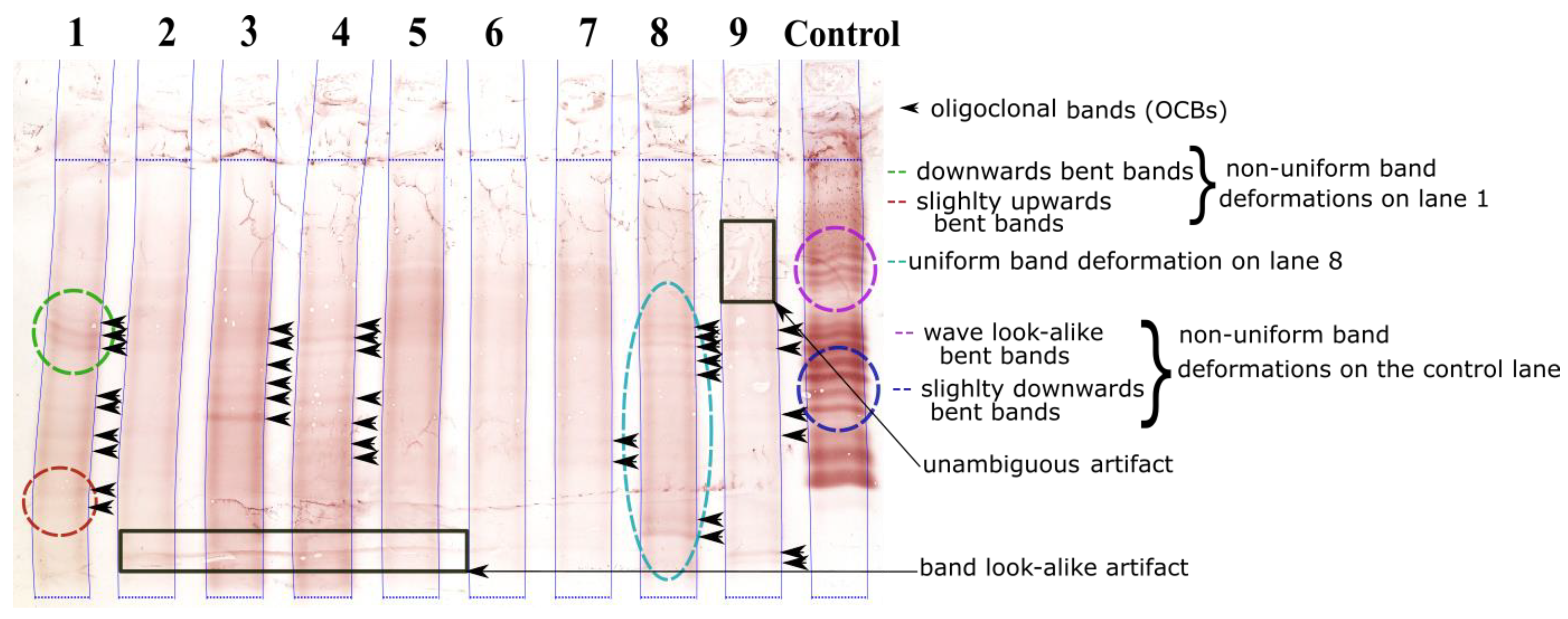 Sensors 22 00724 g001