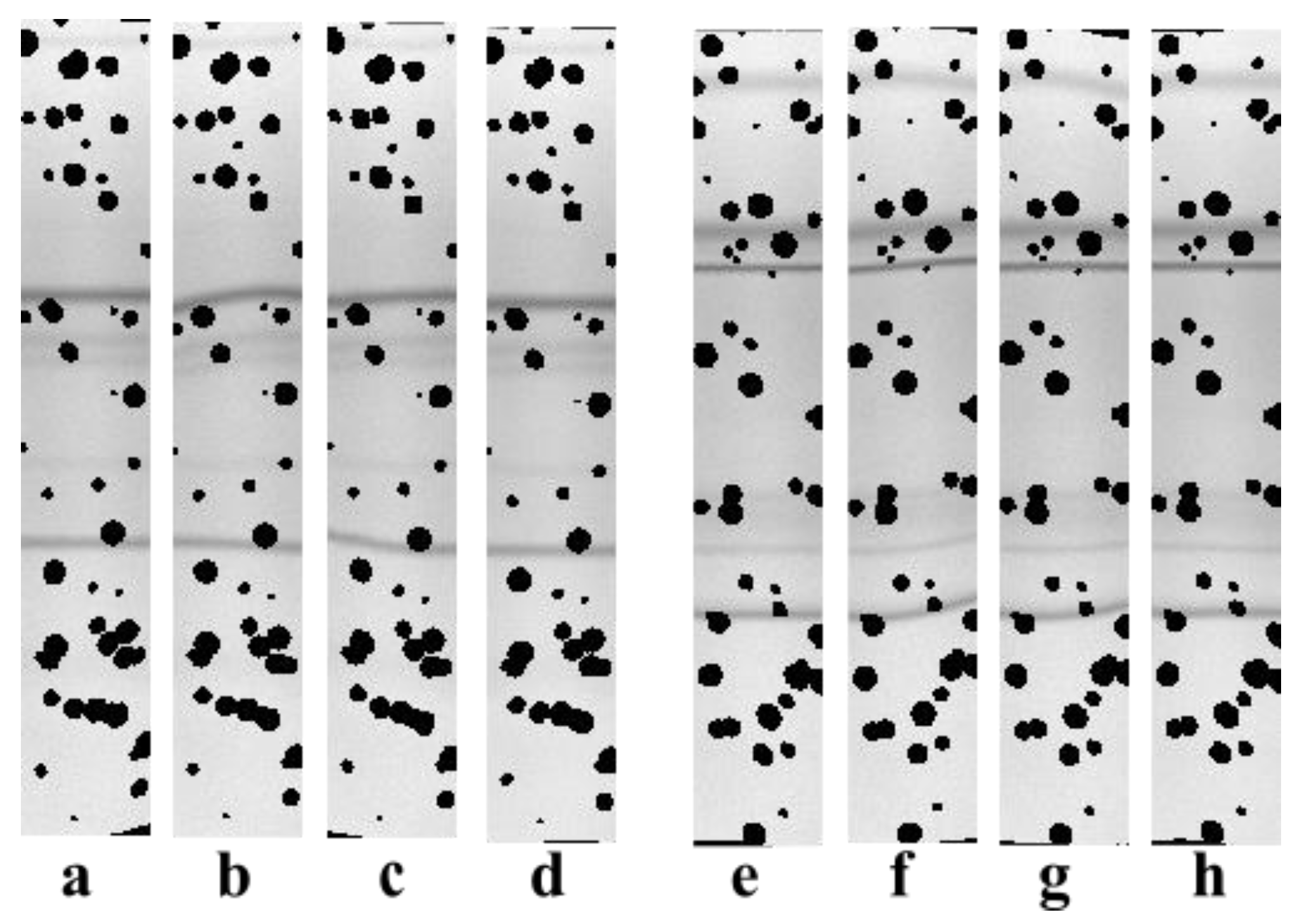 Sensors 22 00724 g008