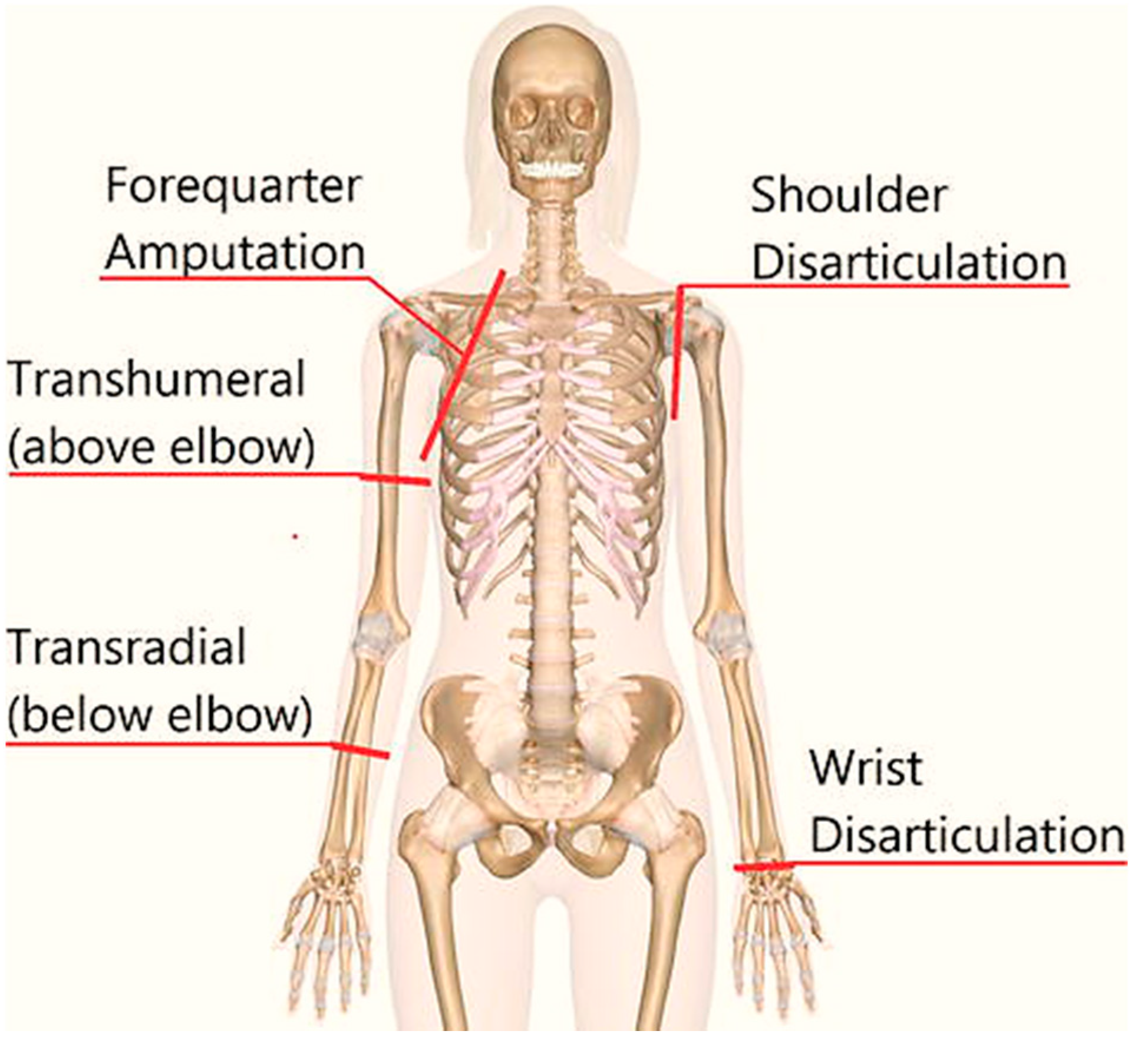 Sensors 22 00726 g001